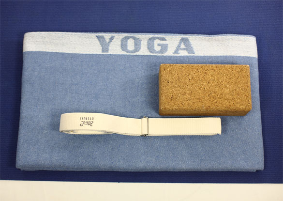 Hilfsmittel des Hatha_Yoga